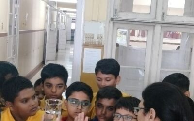 Grade 7 : Chemistry – Demonstrations Matter & its composition.