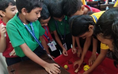 Grade III English Literature Activity