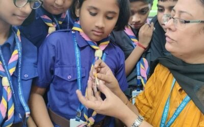 Grade 5: Dissection of Flower
