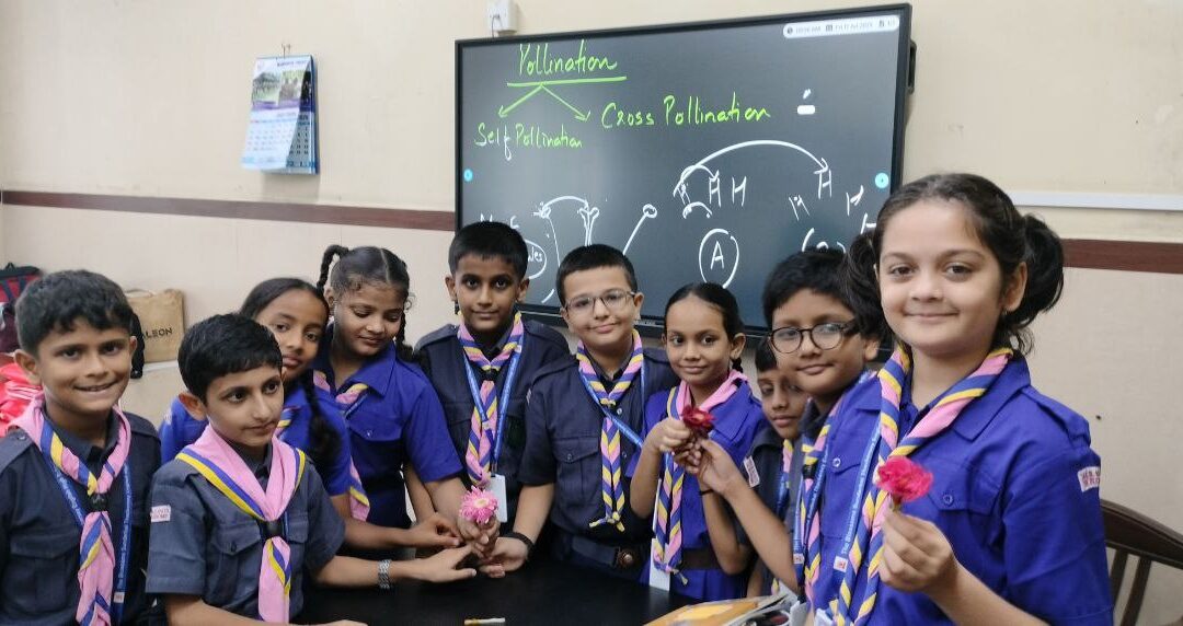 grade 5 – Observing the different parts of a flower