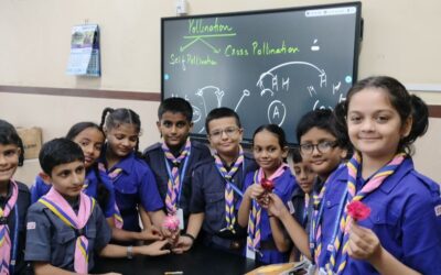 grade 5 – Observing the different parts of a flower