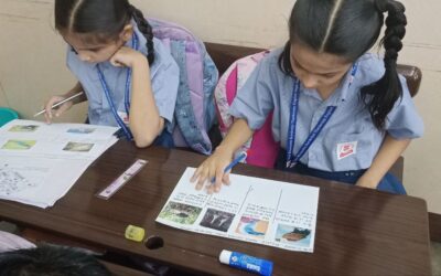 Grade 3A&B&nbsp; Chapter 3:&nbsp; Birds. Collage Activity