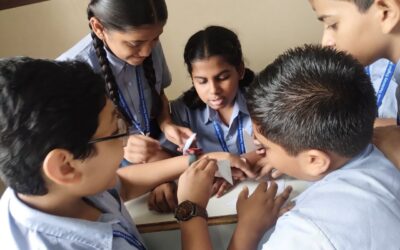 Std 7B – BiologyTarsia Puzzle on Kingdom Animalia.