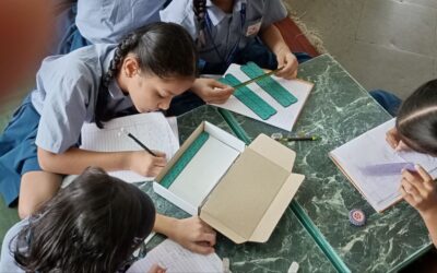 Grade 4 : Napier strips