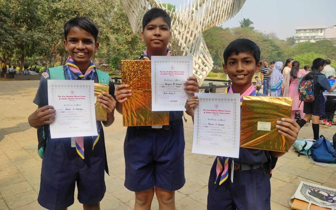 Bharat Scout and Guide Drawing Competition