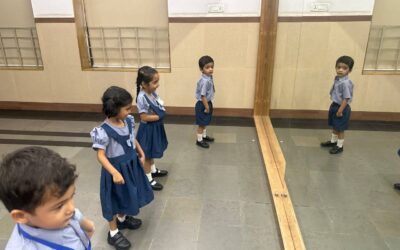 Pre-Primary : Mirror Activity